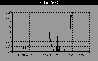 Rain